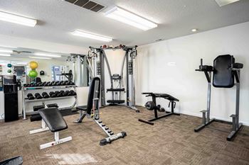 A well-equipped gym with various fitness machines and weights.